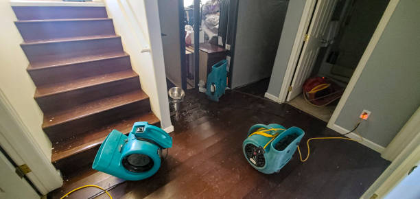 Best 24/7 water damage repair  in Lake Mary, FL