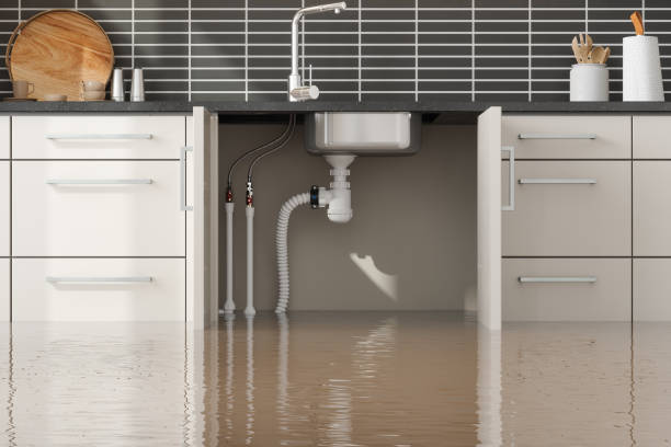 Local water damage restoration in Lake Mary, FL