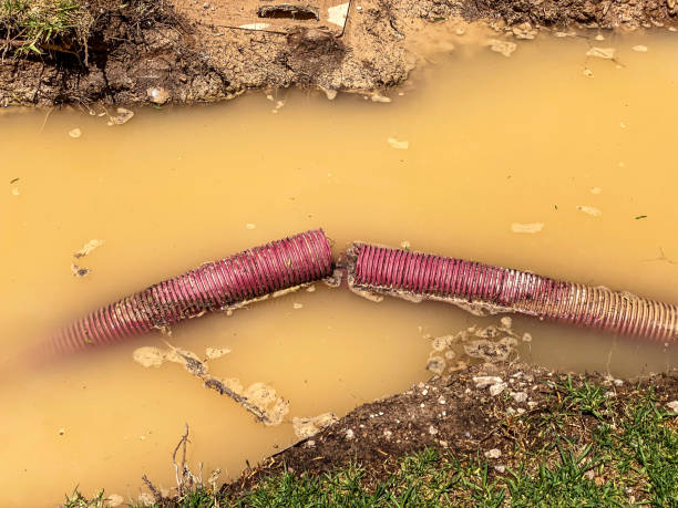 Best Mold removal after water damage  in Lake Mary, FL